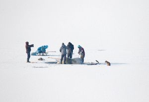 Ice fishing with dog