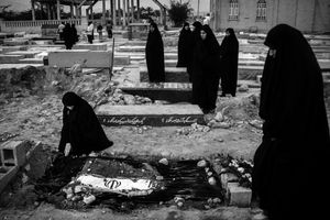 Boushehr _ shonbeh city _ 2013