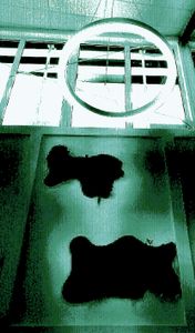 Interior Design 5