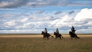 Nomad Herders