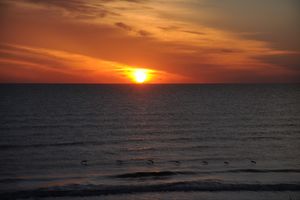 Daytona Sunrise