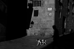 Light & Darkness