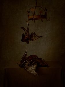 Crows on a Hook