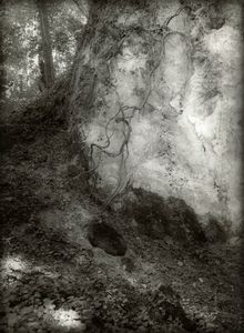 © Guido Paulussen