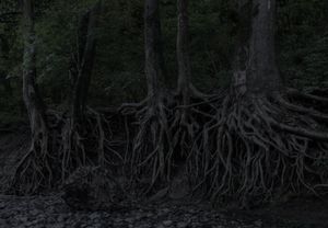 Eagle Hollow from Hunter's Bottom