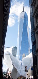 Ave Oculus