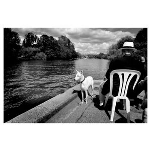 Twickenham Regatta - 2o24