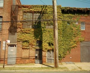 Building with Ivy