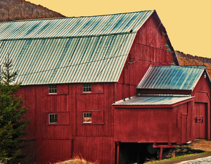 Roadside Barn  Roxbury, NY