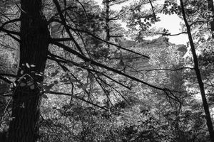 Michael Bogdanffy-Kriegh - Mohonk Mountain House 2015