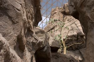 Canyon, Desert Dome