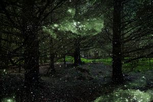 Stars 3