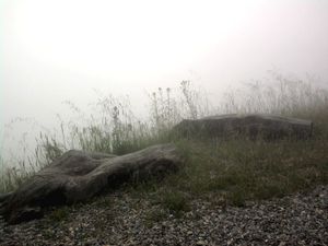 niebla zen