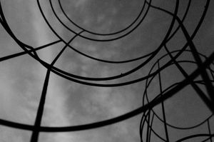 Eye in the sky