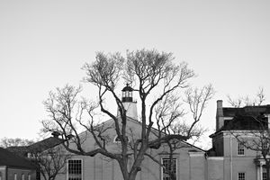 19-  Confines
