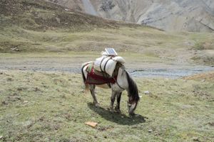 Solar batteries are used to charge lamps and mobile phones. Upper Dolpo, Nepal, June 2017.