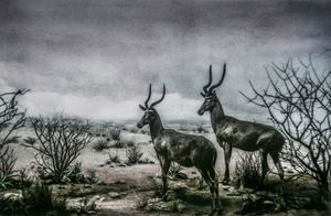 Epitaphs /Silent Stories/ Beatragus Hunteri
