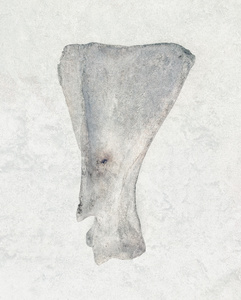 ( Remnants )