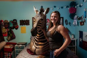 Sugar Moon - Zebra mount