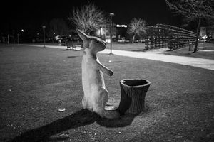 Lonely Rabbit Statue in the Park, Sakarya, 7.3.2020