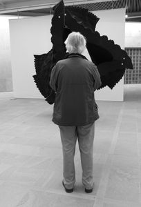 … Contemplating the Mystery