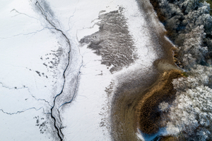 Lakeshore Operations | Ground Level Series #02