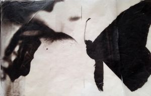 Her Butterfly Tattoo