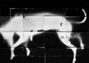 96X72 cm, 2007 © Raina Vlaskovska