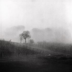Paesaggio sfumato