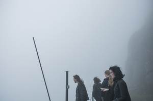 BIRGIT'S GARDEN:  FOG (WEATHER), 2011