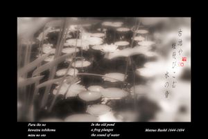 " In the old pond"from the research "Haiku"   © Roberto Spotti