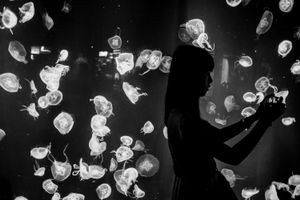 © Yannick Ribeaut