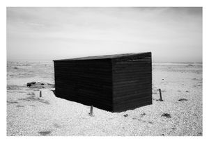 Dungeness #4