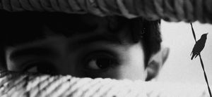 Against the canons of not imagination -  Contro i canoni della non immaginazione -