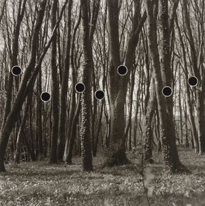 DISAPPEARANCE 3