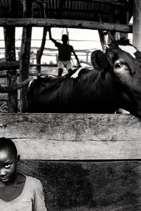 Every morning Joy gets some milk from her cow Gift in order to feed the children of nursery school where her father usually teaches © Nicola Angelo Mangia