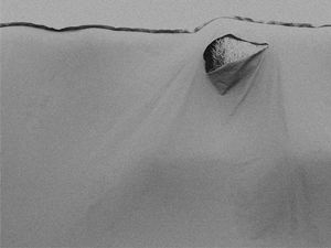 wrapped VIII