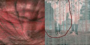 Like a child I fold into myself #2 (diptych)