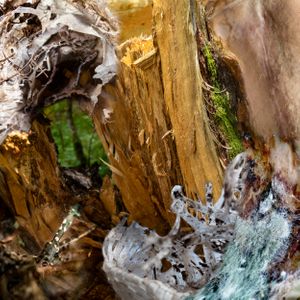 Amalgamated Fragmentations/ Assimilation 1