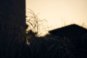 Untitled from the series En los tiempos del coronavirus
