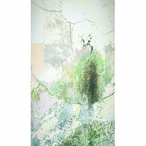 Tree For Your Desires