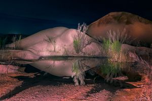Abstract Being Reflects on Beauty