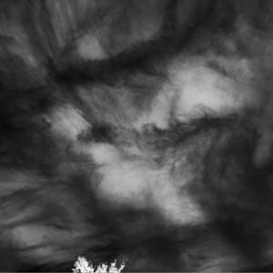 Linear Progression#5