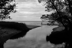 River mouth