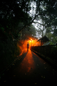 Looking for serenity in nature, you immerse yourself in the amazing world of the mysterious and bizarre visions.