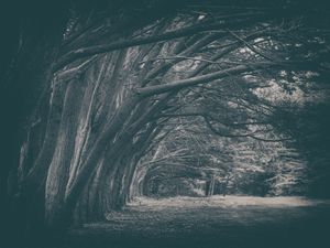 Old Grove Road (Series - 3 of 3)