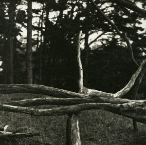 Remembering Lord of the Flies © Erin Malone