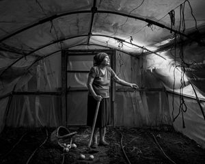 winner of photography awards