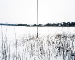 Connected #1 © Steve Meyler