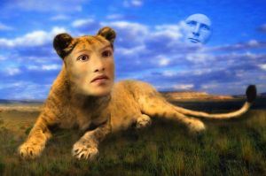 The Lioness